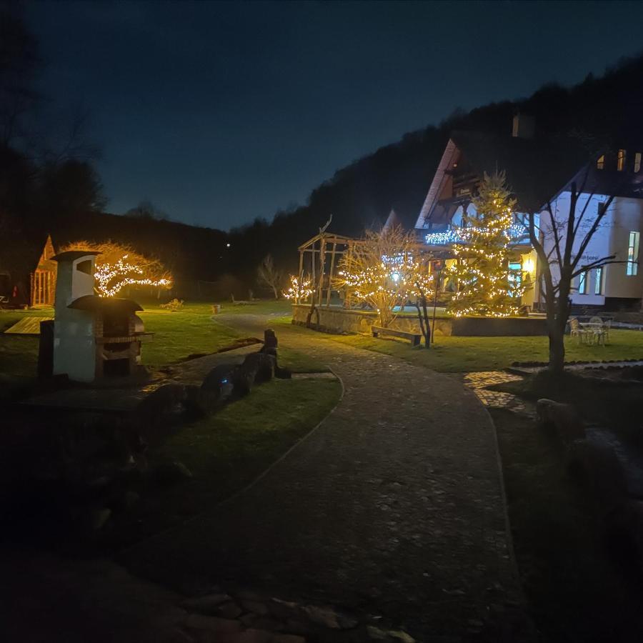 Pensiunea Doina Vadu Izei Buitenkant foto
