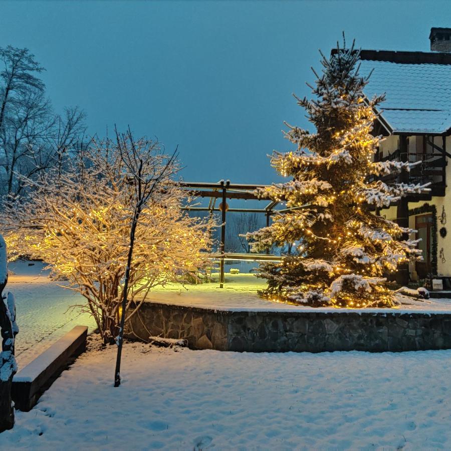 Pensiunea Doina Vadu Izei Buitenkant foto