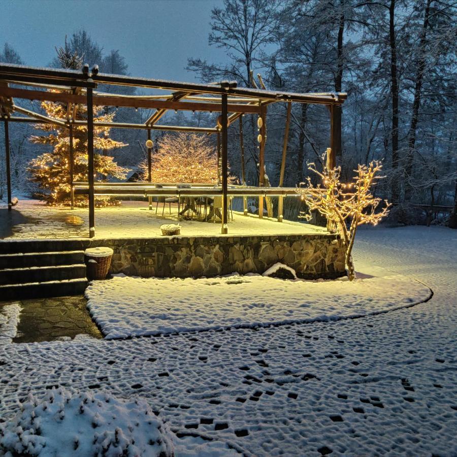 Pensiunea Doina Vadu Izei Buitenkant foto