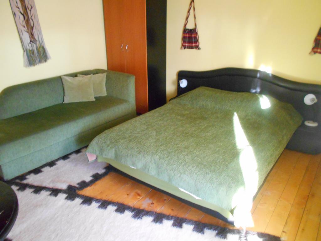 Pensiunea Doina Vadu Izei Kamer foto