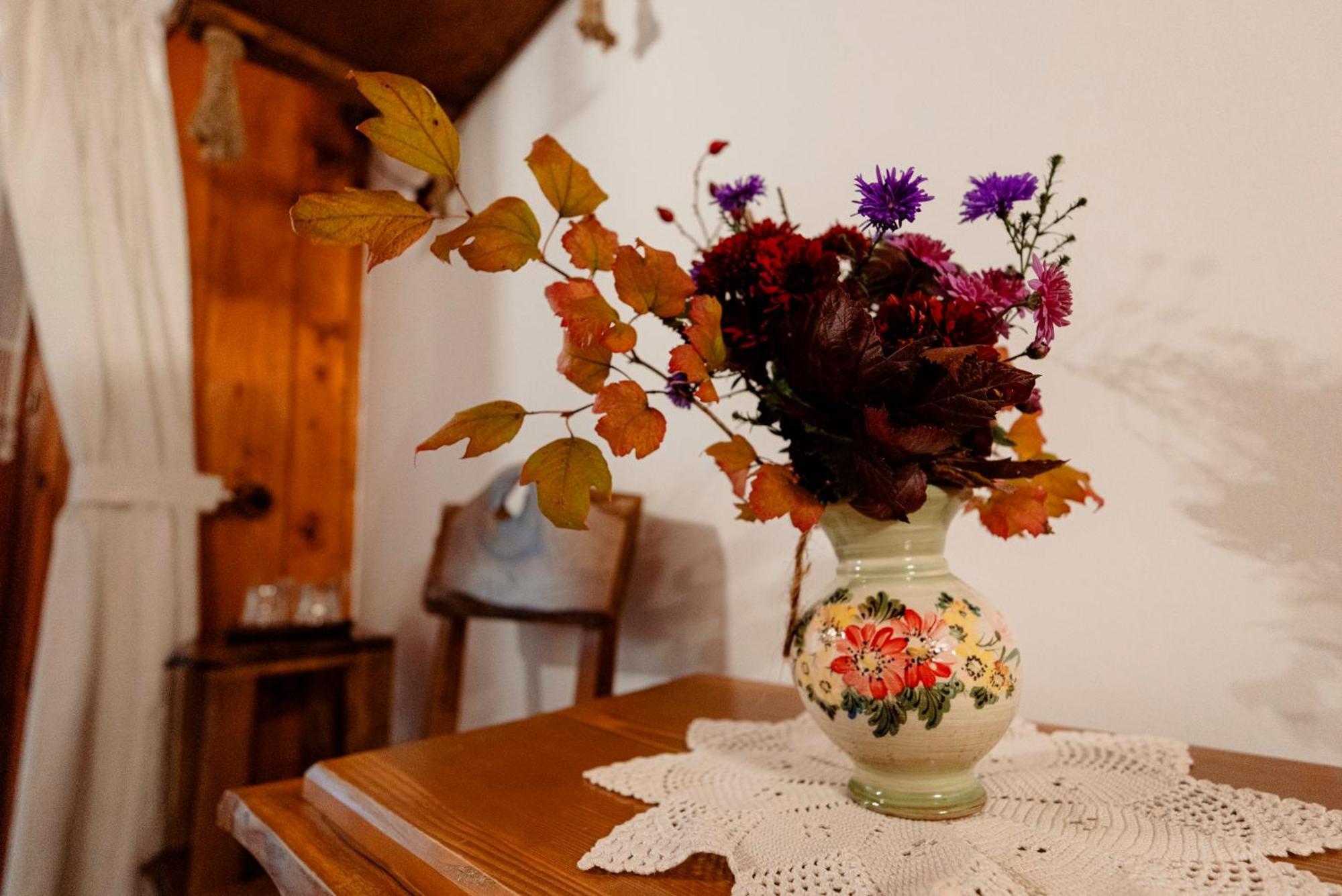 Pensiunea Doina Vadu Izei Buitenkant foto